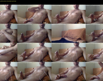 legitdistraction