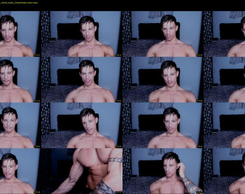 reynoldshardy