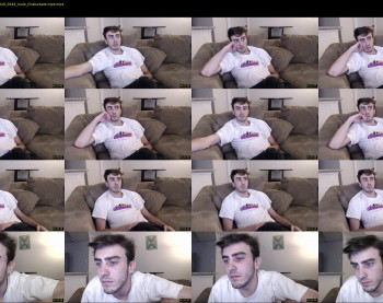 sexual_vibrations