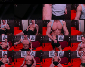 steevemuscle