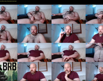 bear_necessity_