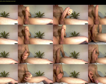 lexbigforyou