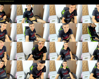 _mestymys