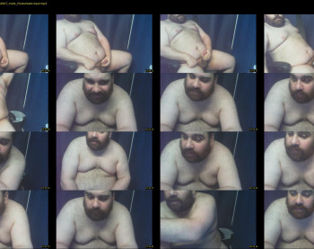 bearshuffle