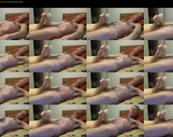 jdog4017