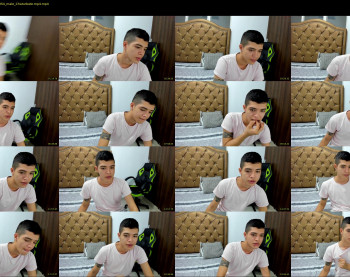 _mestymys