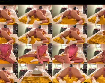gay_xl