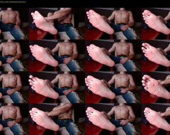 sebastian97x