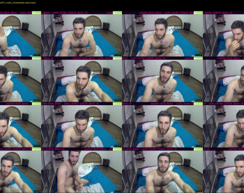 osito_blanco