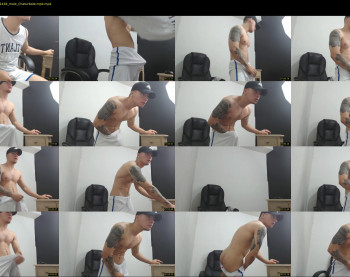 rocco_viloria