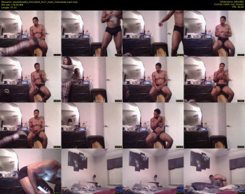 sharkdickwilly