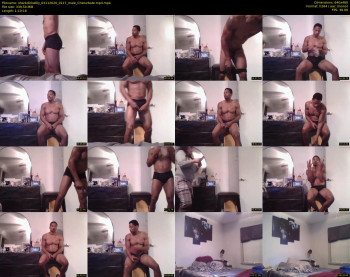 sharkdickwilly