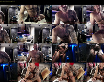 muscle_dog
