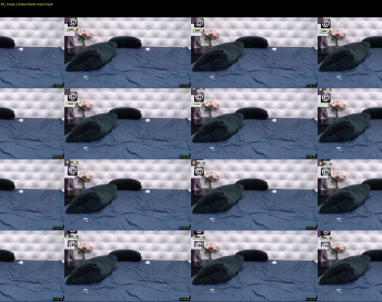 oscar_skyy
