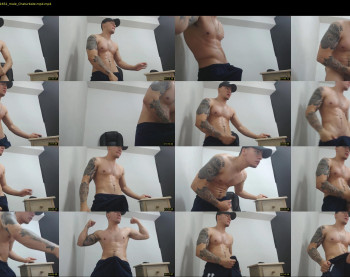 rocco_viloria