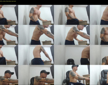 rocco_viloria