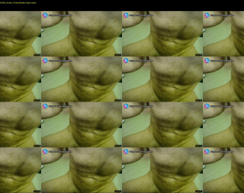 apollobest77