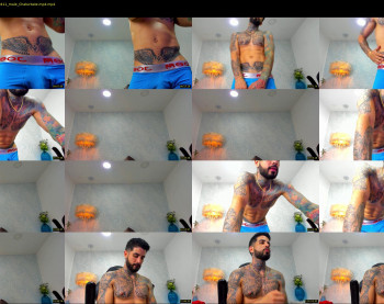 dominic_fox