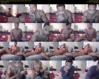 sharkdickwilly