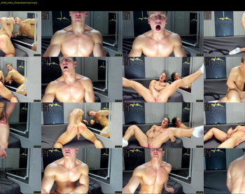 steevemuscle
