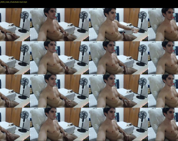 gatosarado23