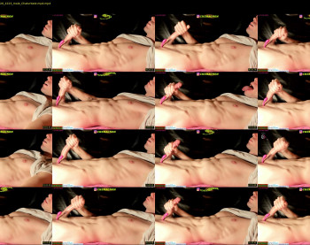 abdominator4cb