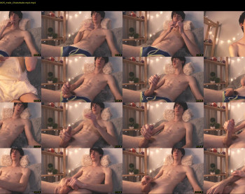 brunodream