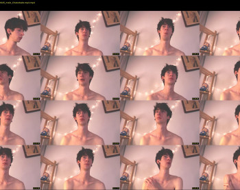 brunodream