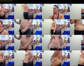 steevemuscle