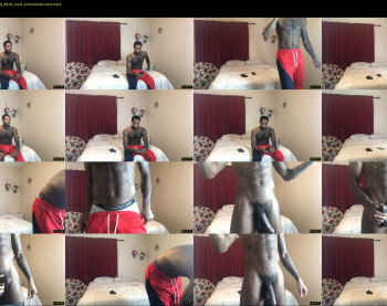 bigdickking231