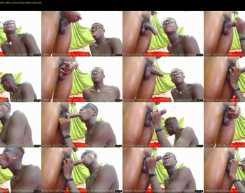 blackboy12inches