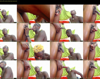 blackboy12inches