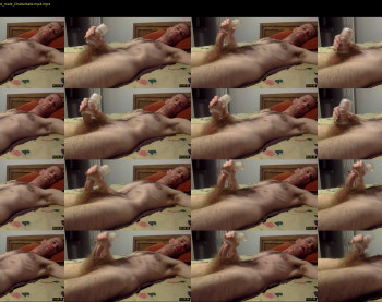 jdog4017
