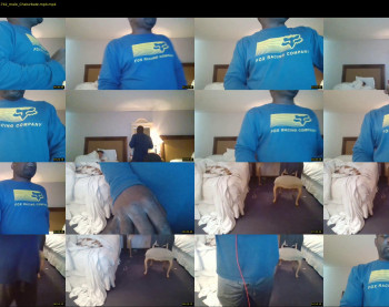 qdogstyle37