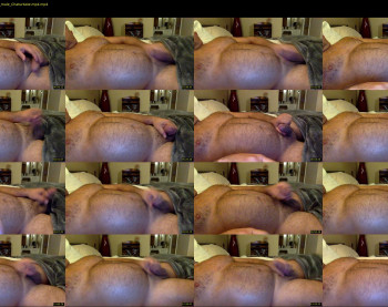 afatboy