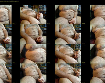 bellyworshipper