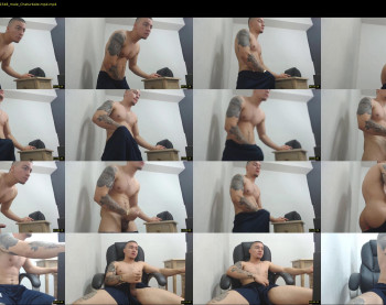rocco_viloria