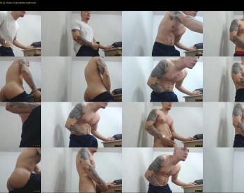 rocco_viloria