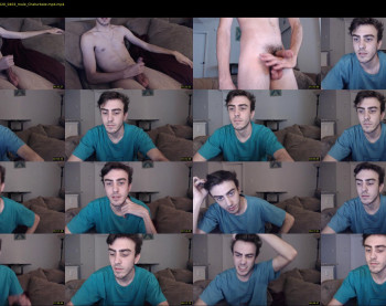 sexual_vibrations
