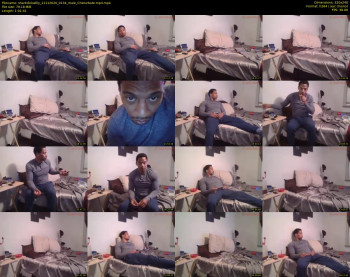 sharkdickwilly