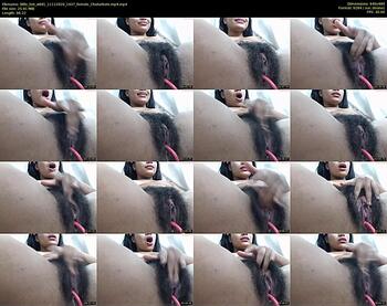 little_hot_wild1