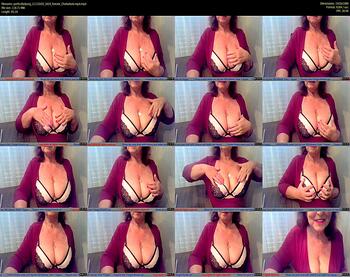 perfectladyorg