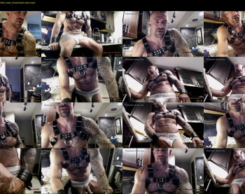 muscle_dog