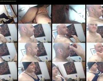 bullmusclejoe
