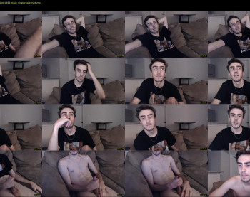 sexual_vibrations