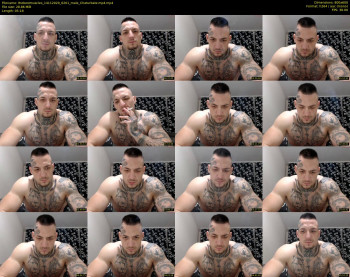 thebestmuscles