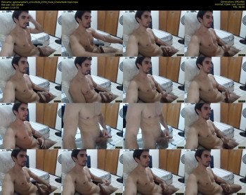 gatosarado23
