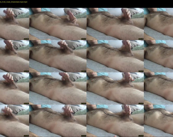 bearcum55744