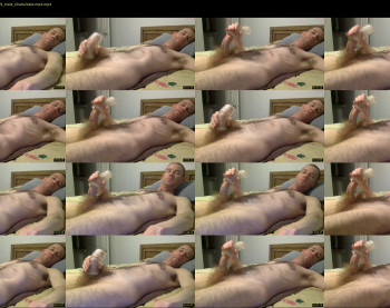 jdog4017