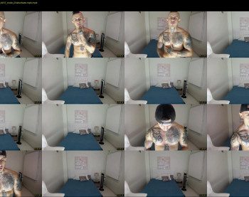 maxstephenx